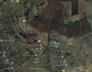 Terrain à vendre dans Cluj-napoca, zone Dambul Rotund