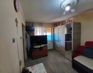Maison 3 chambres à vendre dans Cluj-napoca
