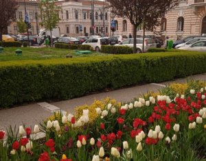 Appartement 2 chambres à vendre dans Cluj-napoca