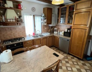 Maison 4 chambres à vendre dans Salistea Noua, zone Centru