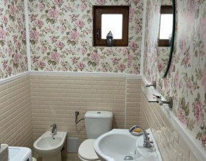 Maison 4 chambres à vendre dans Salistea Noua, zone Centru