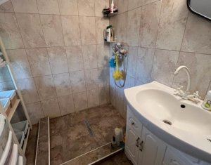 Maison 4 chambres à vendre dans Salistea Noua, zone Centru