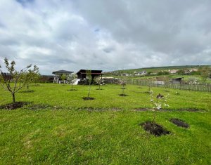 Maison 4 chambres à vendre dans Salistea Noua, zone Centru