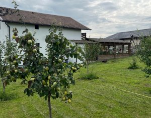 Maison 4 chambres à vendre dans Salistea Noua, zone Centru