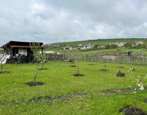 Maison 4 chambres à vendre dans Salistea Noua, zone Centru