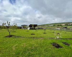 Maison 4 chambres à vendre dans Salistea Noua, zone Centru