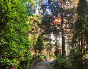 Maison 3 chambres à louer dans Cluj-napoca, zone Centru