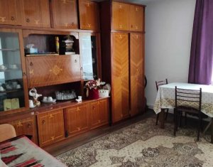Maison 3 chambres à vendre dans Cluj-napoca, zone Dambul Rotund