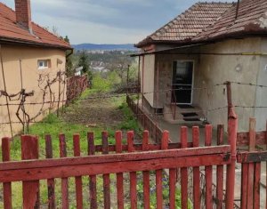 Maison 3 chambres à vendre dans Cluj-napoca, zone Dambul Rotund