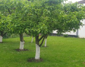 Terrain à vendre dans Cluj-napoca, zone Zorilor