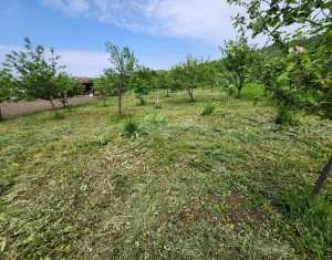 Ház 3 szobák eladó on Jucu