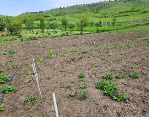 Ház 3 szobák eladó on Jucu