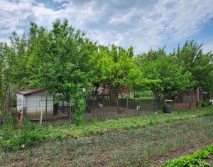 Ház 3 szobák eladó on Jucu