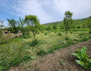 Ház 3 szobák eladó on Jucu