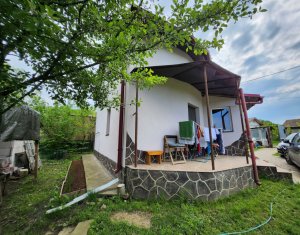 Ház 3 szobák eladó on Jucu