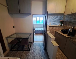 Studio à vendre dans Cluj-napoca, zone Someseni