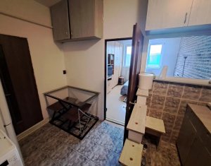 Studio à vendre dans Cluj-napoca, zone Someseni