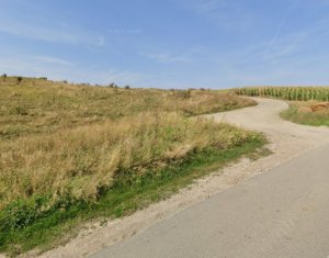 Telek eladó on Gheorghieni