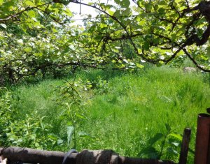 Maison 4 chambres à vendre dans Cluj-napoca, zone Gheorgheni