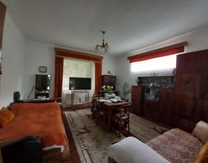 Maison 4 chambres à vendre dans Cluj-napoca, zone Marasti