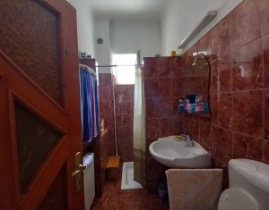 Maison 4 chambres à vendre dans Cluj-napoca, zone Marasti