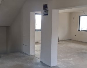 Maison 6 chambres à vendre dans Cluj-napoca, zone Dambul Rotund