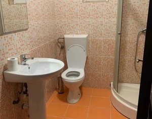 Appartement 1 chambres à vendre dans Cluj-napoca, zone Manastur