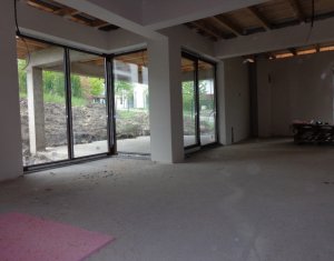 Maison 4 chambres à vendre dans Cluj-napoca, zone Iris