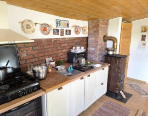 Maison 5 chambres à vendre dans Cluj-napoca, zone Faget