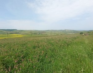 Terrain à vendre dans Gadalin