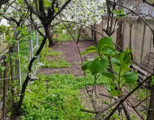 Appartement 1 chambres à vendre dans Cluj-napoca, zone Iris