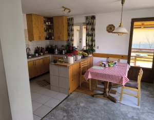 Maison 7 chambres à vendre dans Cluj-napoca, zone Iris