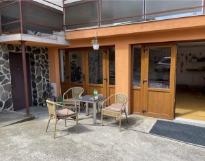 , 185m2 dans Cluj-napoca, zone Gruia