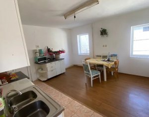 Maison 4 chambres à vendre dans Cluj-napoca, zone Centru