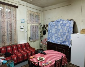 Maison 2 chambres à vendre dans Cluj-napoca, zone Centru