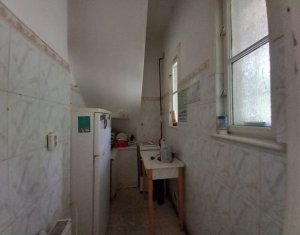Maison 3 chambres à louer dans Cluj-napoca, zone Centru