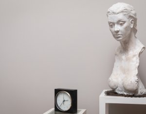 Maison 9 chambres à vendre dans Cluj-napoca, zone Centru