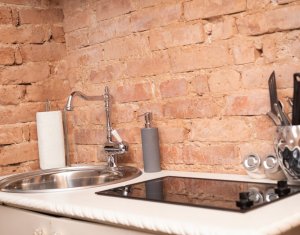 Maison 9 chambres à vendre dans Cluj-napoca, zone Centru