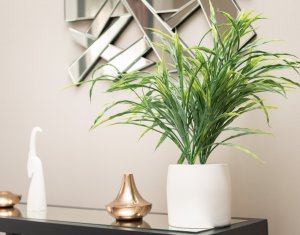 Maison 9 chambres à vendre dans Cluj-napoca, zone Centru