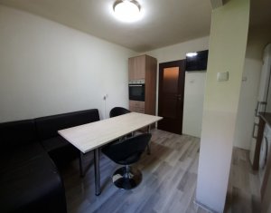 Appartement 2 chambres à louer dans Cluj-napoca, zone Plopilor