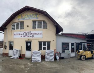 Maison 3 chambres à vendre dans Cluj-napoca, zone Iris