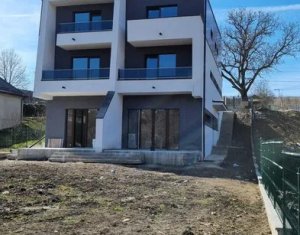Maison 6 chambres à vendre dans Cluj-napoca, zone Iris