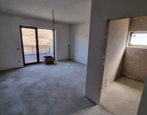 Maison 6 chambres à vendre dans Cluj-napoca, zone Iris