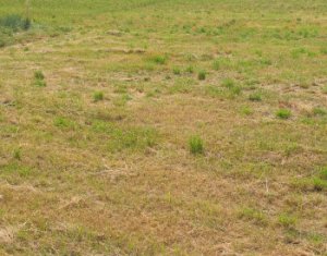 Appartement 3 chambres à vendre dans Floresti