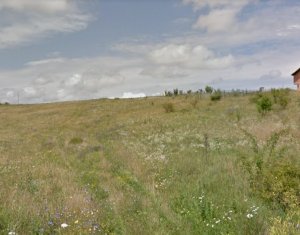 Telek eladó on Chinteni