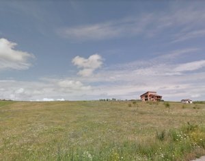 Telek eladó on Chinteni