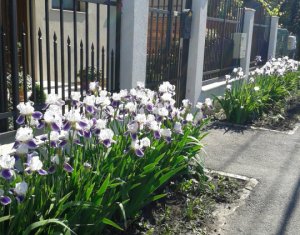 Ház 6 szobák eladó on Cluj-napoca, Zóna Intre Lacuri
