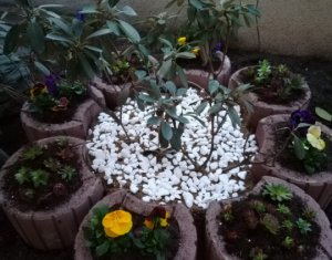 Ház 6 szobák eladó on Cluj-napoca, Zóna Intre Lacuri