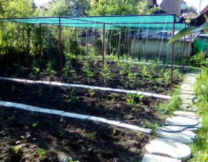 Ház 6 szobák eladó on Cluj-napoca, Zóna Intre Lacuri