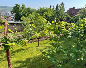 Terrain à vendre dans Cluj-napoca, zone Gruia